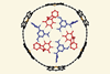 An image showing a hexapyridine H-bonded rosette bound inside a nanoring