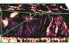 using afm tomography fig1