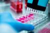 Cell culture in laboratory