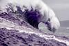 purple ocean