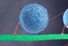 A short thin protein pulling a larger round protein along a long thin protein with another pair attached and following behind
