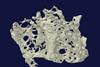 Demineralisation bone c6tb00461j ga 300tb