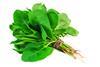 Super spinach