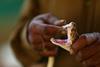 poisonous fangs of a venomous snake touched by a man/poison/poisonous fangs of a snake touched by a man