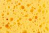 Sponge