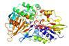 An enzymatic advance in nicotine cessation therapy