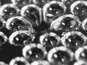 x0612CW_FEATURE-Champagne_pg042-300