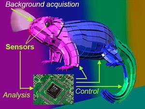 Plasmonic-chameleon_acsnano_2E5b07472-7_300tb