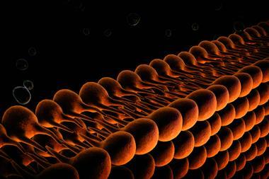 A 3D illustration showing a plasma membrane