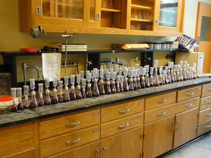 Bench scale fermentation
